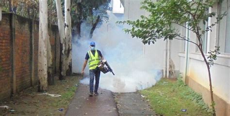 Fogging Testing service|fogging services near me price.